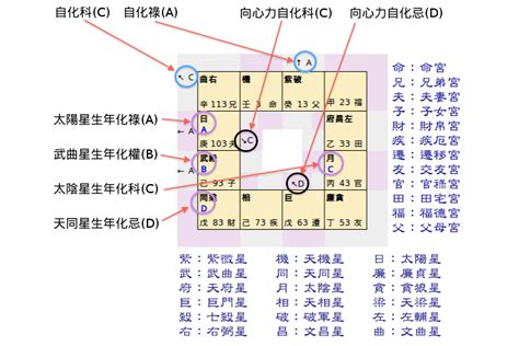 紫微命盤怎麼看